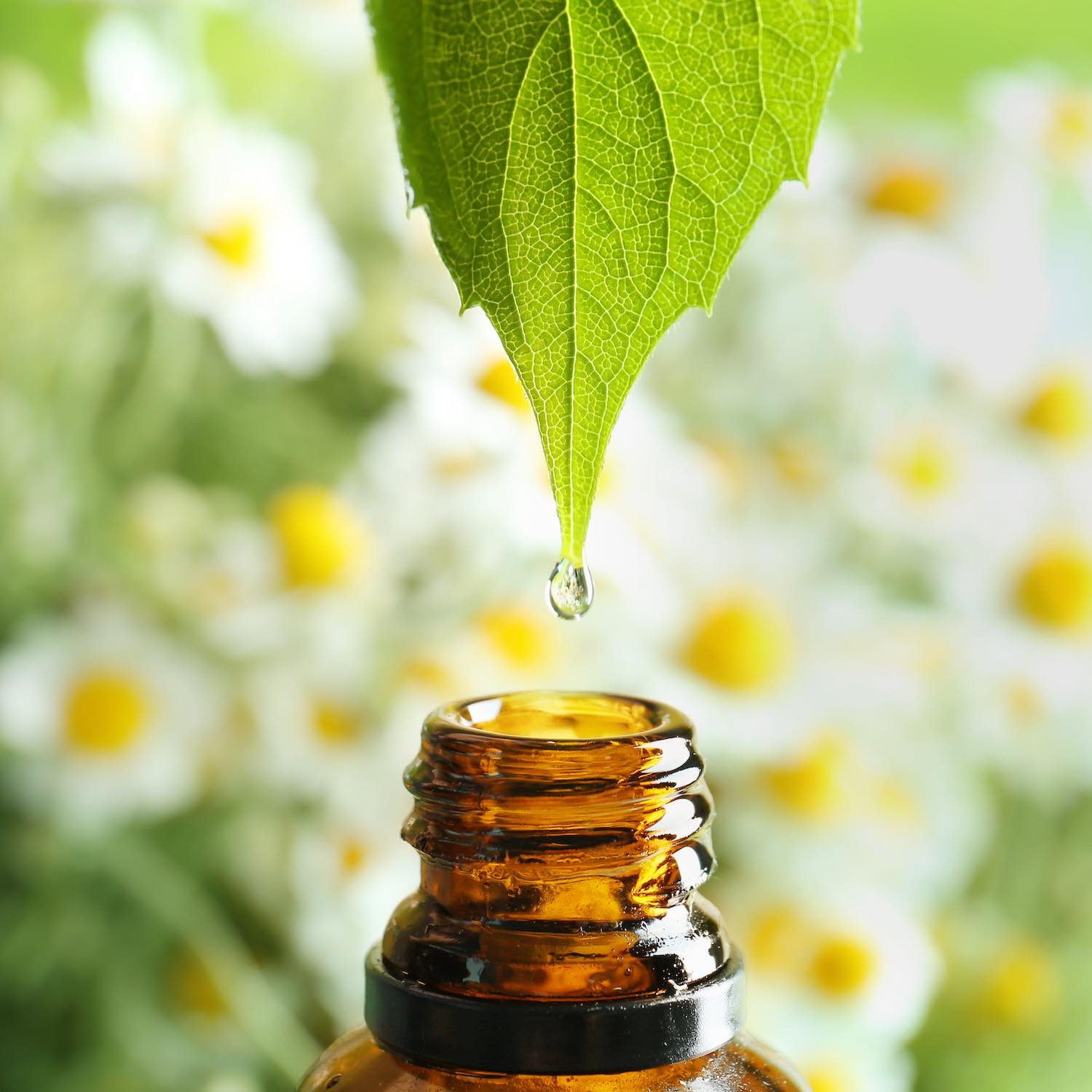 Aromathérapie et huiles essentielles Pharmacie de la Rocade à Laon